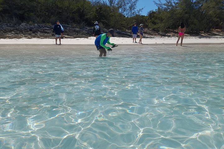 Private Nassau Rose Island Boat Tour Swimming Pigs, Turtles