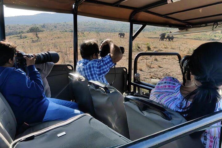 Safari Drive Hluhluwe Imfolozi Park South Africa