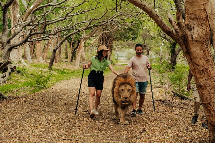 Casela Nature Park and Flic en Flac Beach Private Tour