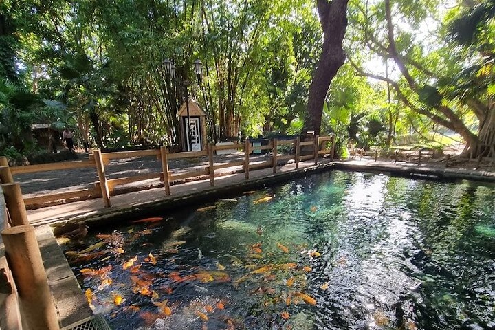 Casela Nature Park and Flic en Flac Beach Private Tour
