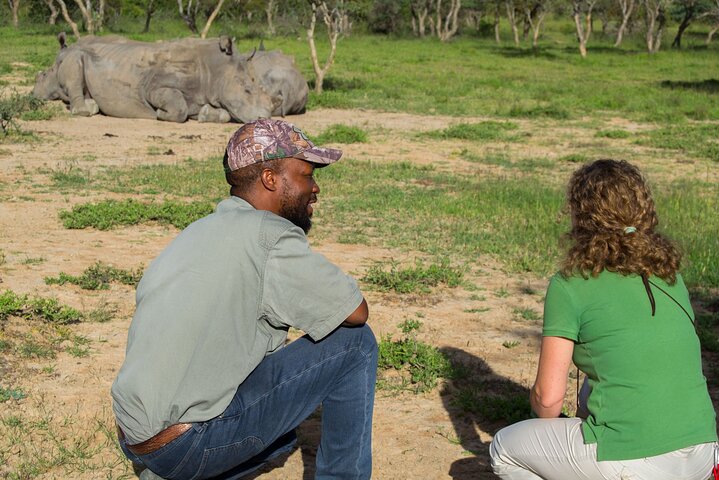 Full-Day Matobo Rhino Tracking & Rock Art from Bulawayo