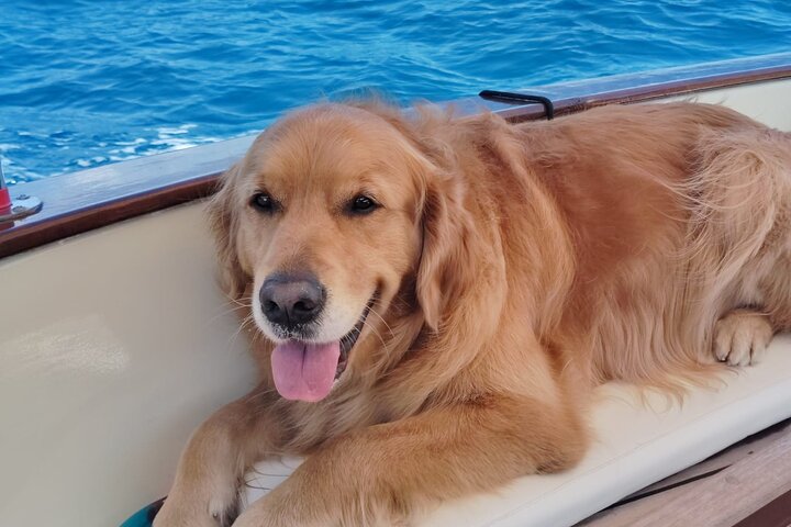 Private Boat Tour of the Portofino Riviera 8 hours