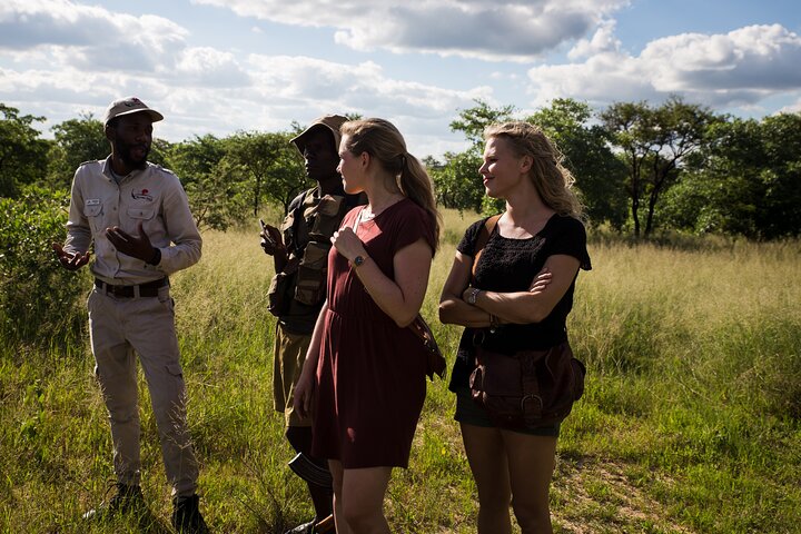 Half-Day Matobo Hills Cave Expedition & Ancient Rock Art Tour