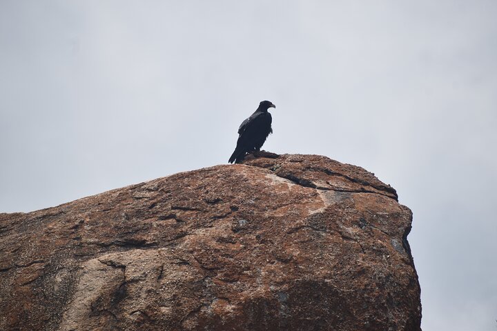 Half-Day Matobo Hills Cave Expedition & Ancient Rock Art Tour