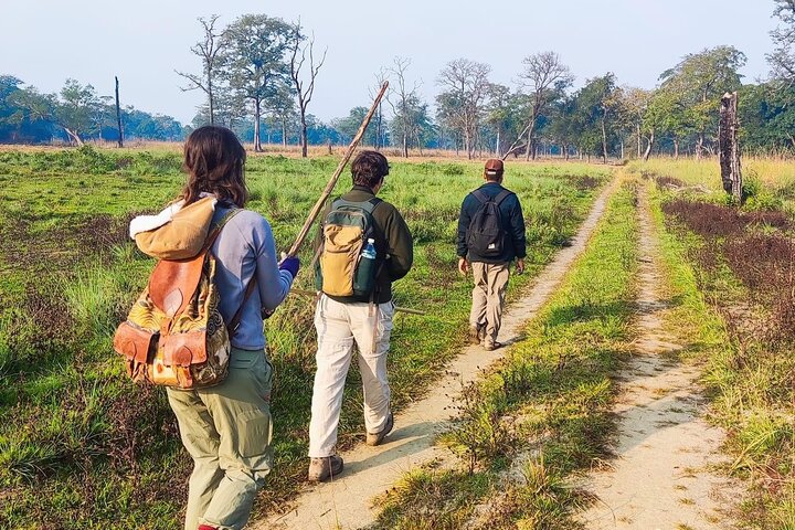 Full Day walking safari at Bardia National Park With LUNCH &GUIDE