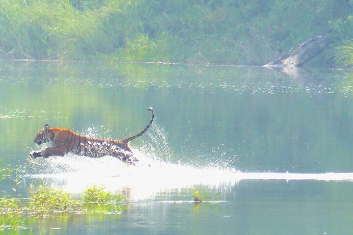 Full Day walking safari at Bardia National Park With LUNCH &GUIDE