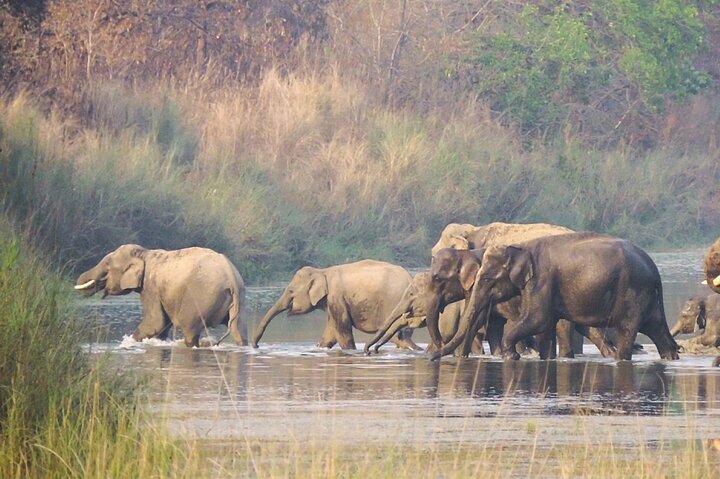Full Day walking safari at Bardia National Park With LUNCH &GUIDE
