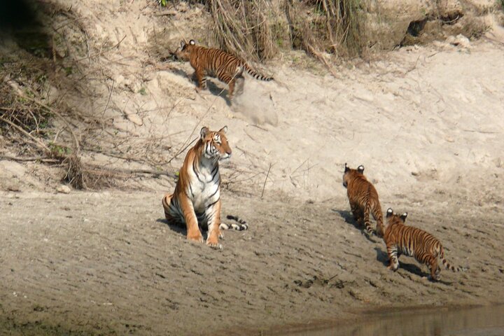 Full Day walking safari at Bardia National Park With LUNCH &GUIDE
