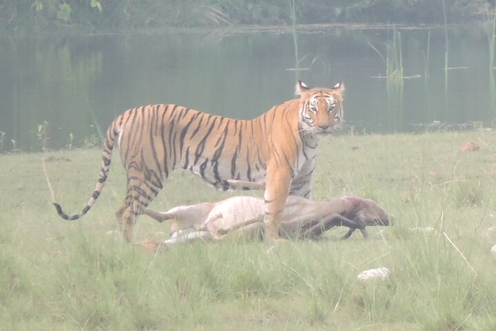 Full Day walking safari at Bardia National Park With LUNCH &GUIDE