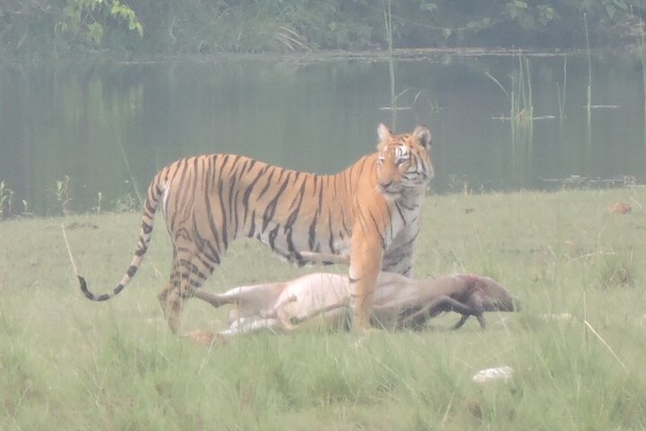 Full Day walking safari at Bardia National Park With LUNCH &GUIDE