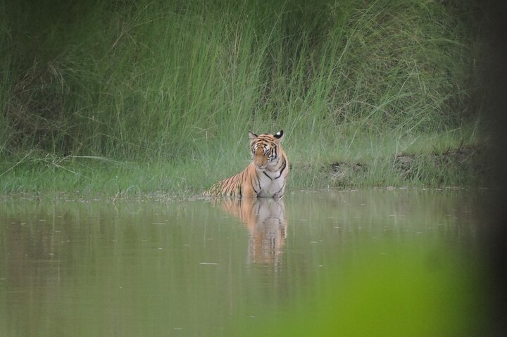 Full Day walking safari at Bardia National Park With LUNCH &GUIDE