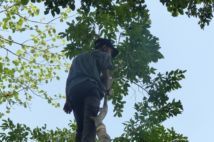 Full Day walking safari at Bardia National Park With LUNCH &GUIDE