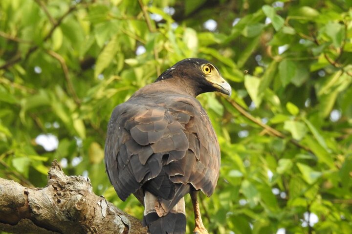 Full Day walking safari at Bardia National Park With LUNCH &GUIDE