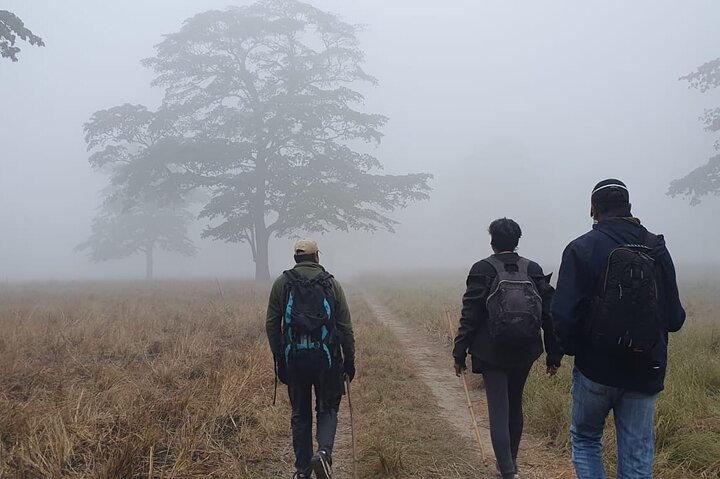 Full Day walking safari at Bardia National Park With LUNCH &GUIDE