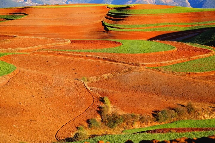 Dongchuan Red Land Private Tour