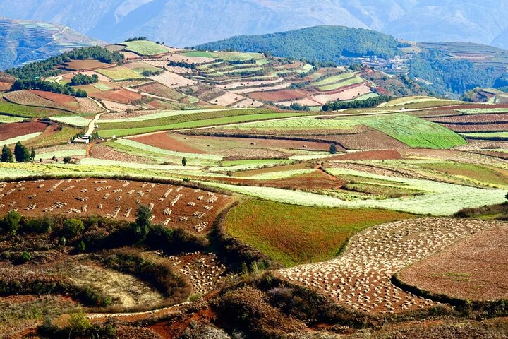 Dongchuan Red Land Private Tour