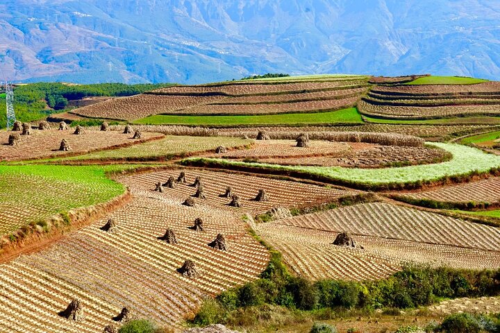 Dongchuan Red Land Private Tour