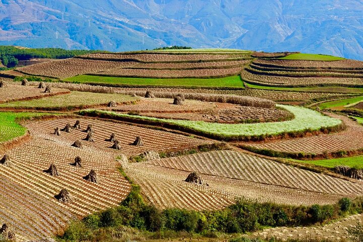 Dongchuan Red Land Private Tour