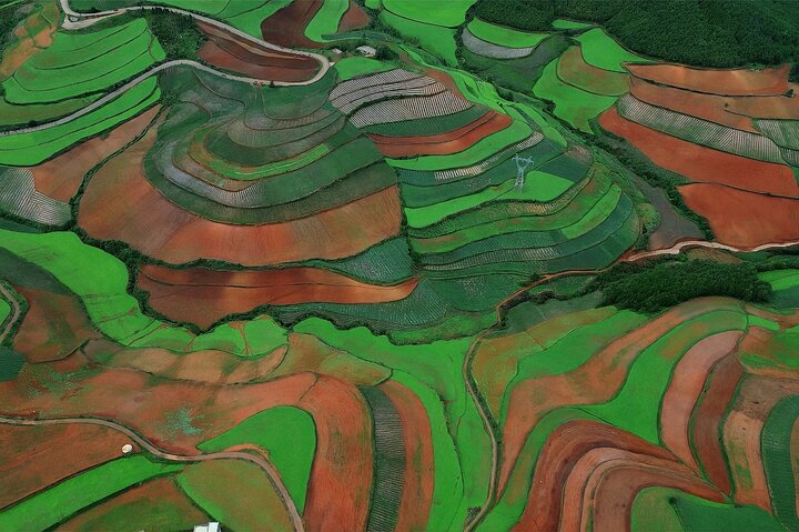 Dongchuan Red Land Private Tour
