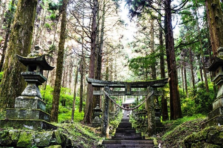 Day Tour to Miyazaki Takachiho Gorge & Shrine depart from Fukuoka