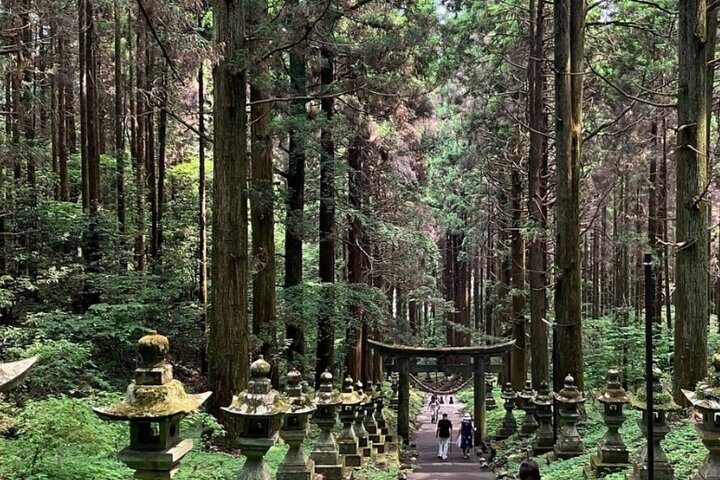 Day Tour to Miyazaki Takachiho Gorge & Shrine depart from Fukuoka