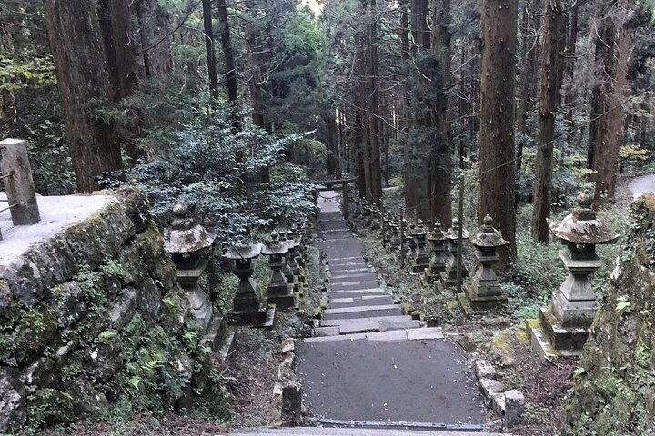 Day Tour to Miyazaki Takachiho Gorge & Shrine depart from Fukuoka