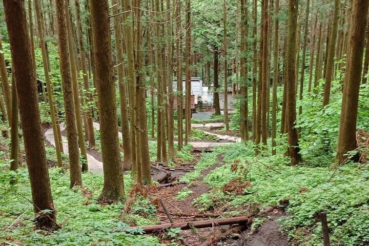 Day Tour to Miyazaki Takachiho Gorge & Shrine depart from Fukuoka