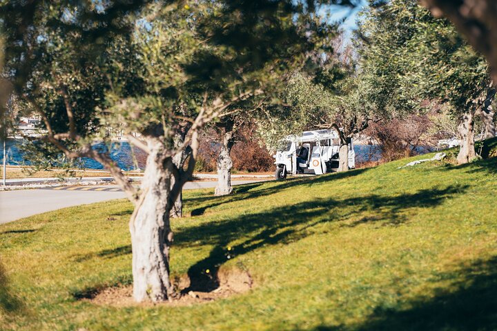 Šibenik: 3 fortresses; City&wine tour; tasting and all fees inc