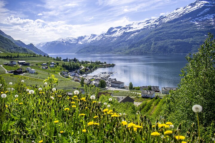 Bergen: Bondhus Glacier Lake & National Park w/Lunch in Rosendal