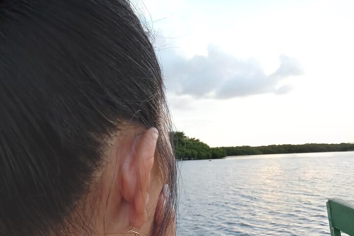 The Scarlet Ibis - Caroni Swamp Tour
