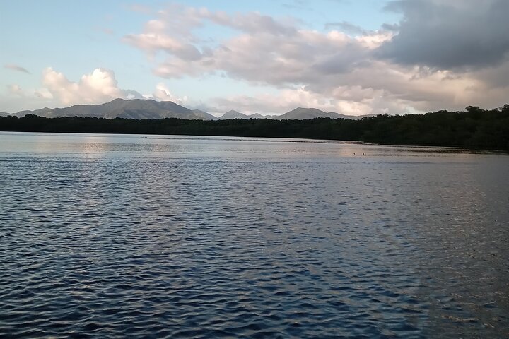 The Scarlet Ibis - Caroni Swamp Tour