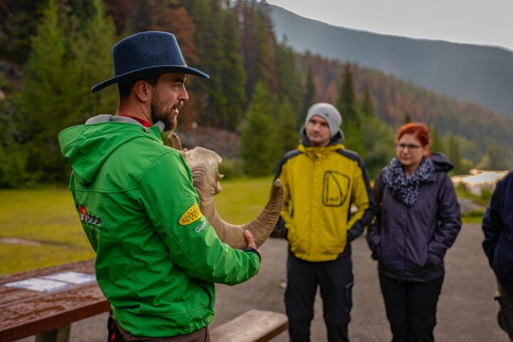 Discover Jasper and its Wildlife