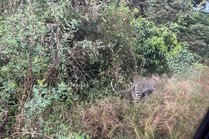 2 Days Akagera Wilderness Safari Big 5 and Highest Peak Camping