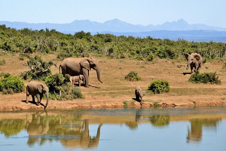 2 Days Akagera Wilderness Safari Big 5 and Highest Peak Camping