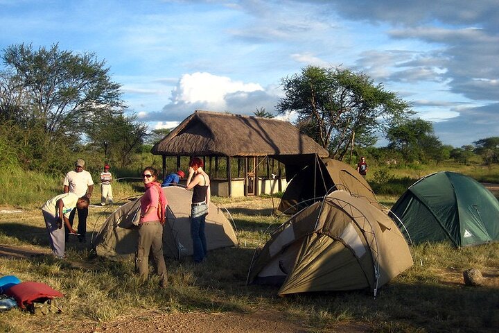 2 Days Akagera Wilderness Safari Big 5 and Highest Peak Camping