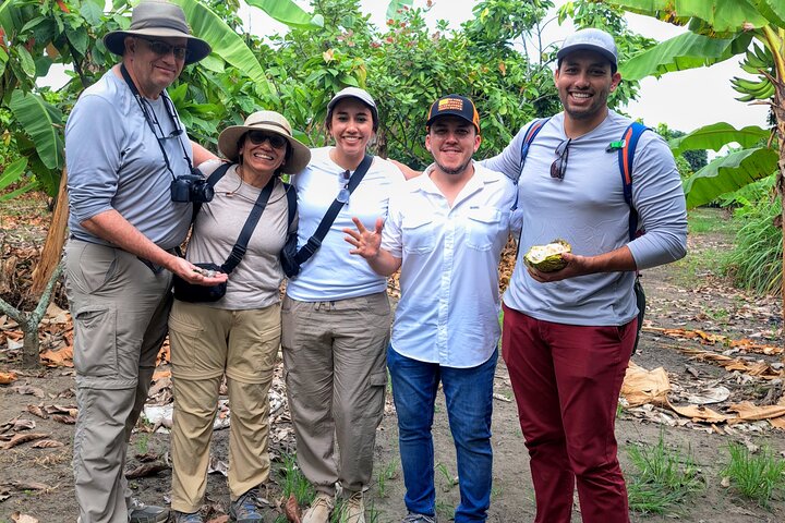 Cocoa and Tropical Fruits Farm with Fine Chocolate Experience