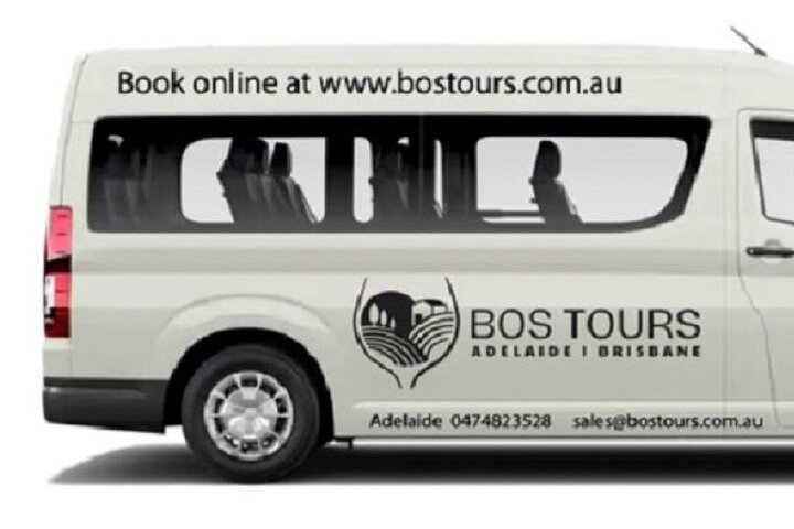 Deluxe Springbrook & Mt Tamborine Glow Worms and famous Skywalk