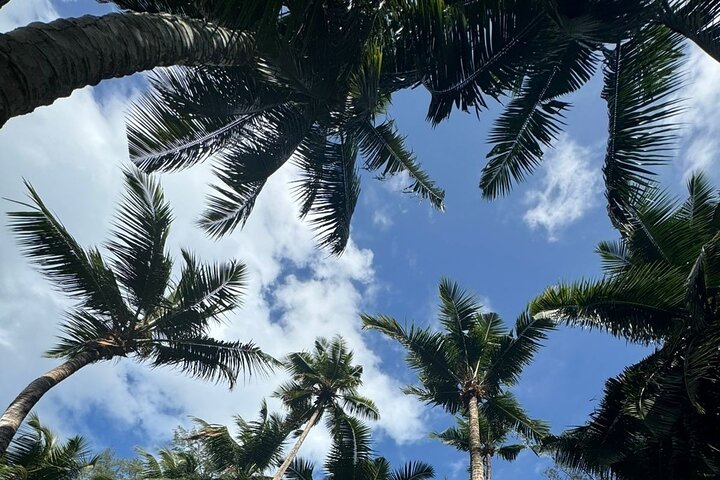 Mahe island Seychelles , unforgettable & adventurous tour