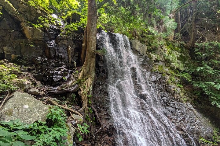 Lake Kawaguchi : Exclusive Private Customized Tour w/ Local Guide