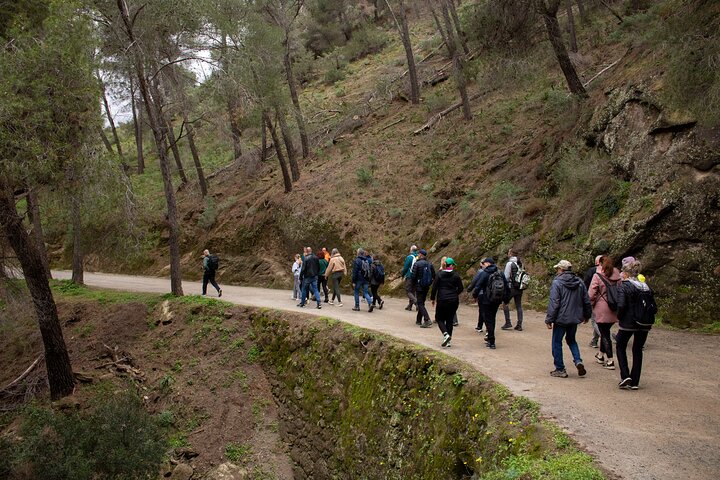 Caminito del Rey Day Trip from Costa del Sol