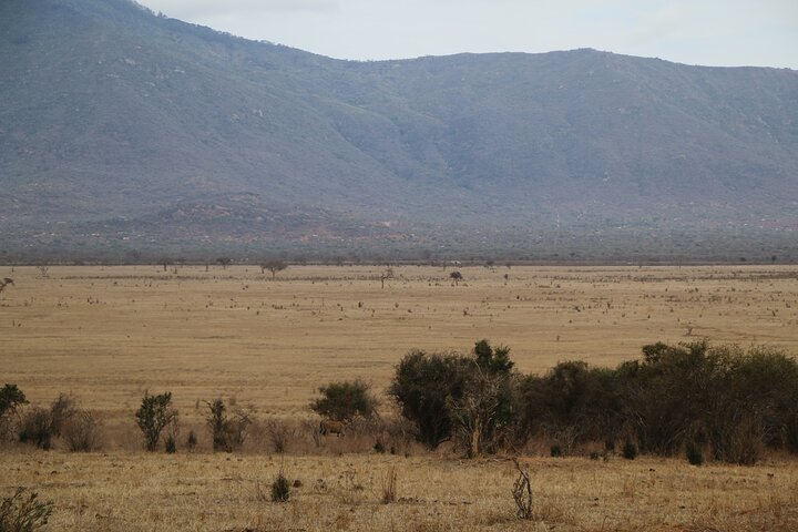 OVERNIGHT SAFARI TO TSAVO EAST NATIONAL PARK FROM MOMBASA orDIANI