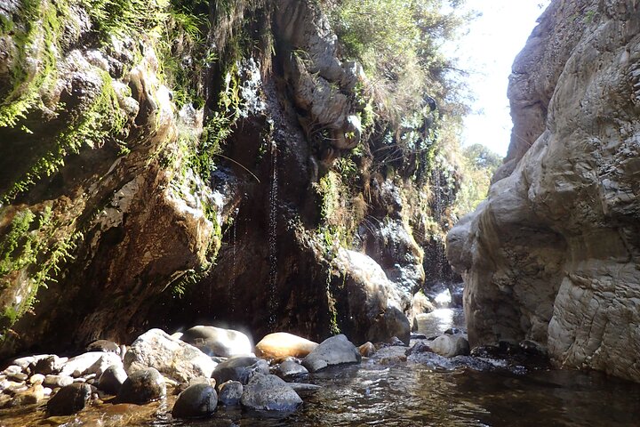 From Marbella: Canyoning Tour in Guadalmina Canyon