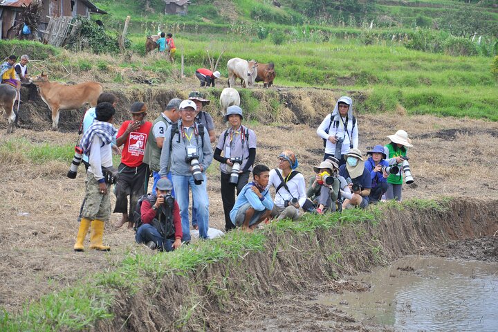 Explore West Sumatra with Private Transportation