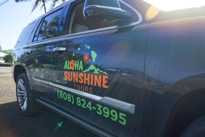 Private Road to Hana Rainforest & Waterfall Experience from Maui
