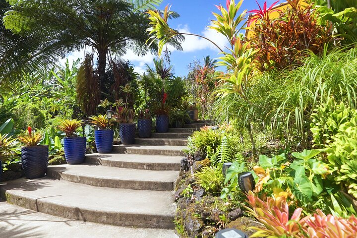 Private Road to Hana Rainforest & Waterfall Experience from Maui