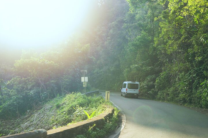 Private Road to Hana Rainforest & Waterfall Experience from Maui