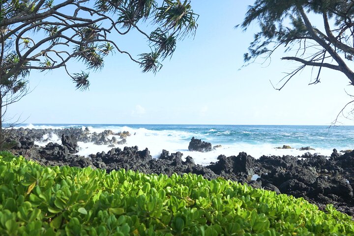 Maui: Road to Hana Deluxe Rainforest and Waterfall Experience