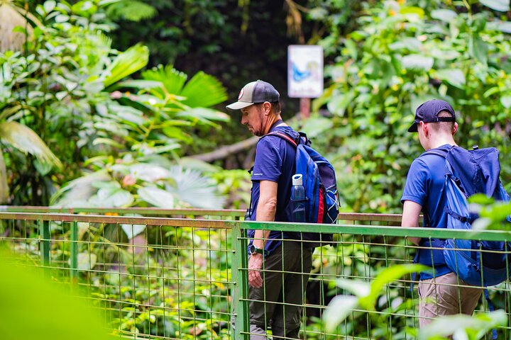 3 in 1 Combo: La Fortuna Waterfall, Hanging Bridges, Thermal Spa from San José