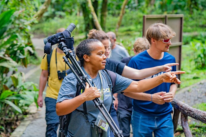 3 in 1 Combo: La Fortuna Waterfall, Hanging Bridges, Thermal Spa from San José