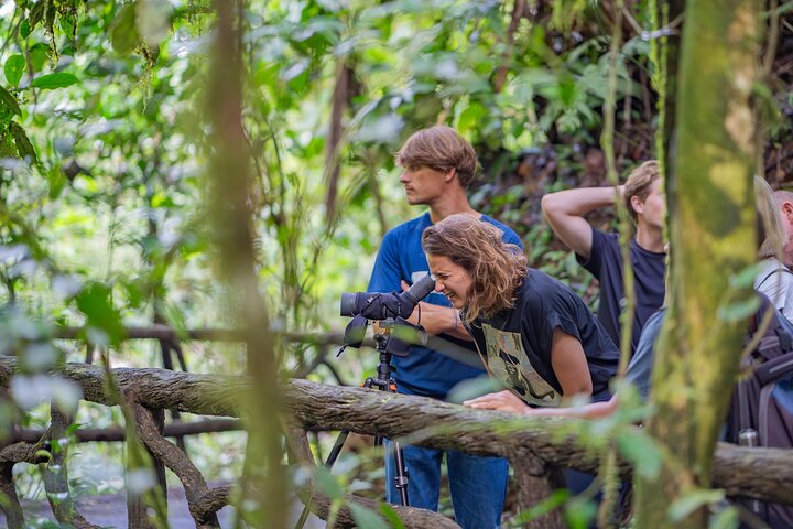 3 in 1 Combo: La Fortuna Waterfall, Hanging Bridges, Thermal Spa from San José